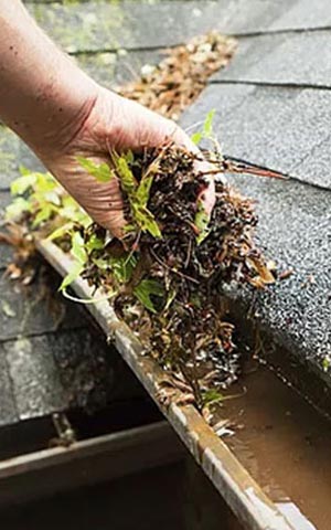 Gutter Cleaning Services Victoria A person cleans leaves and grime out of a gutter, to maintain the home's function and longevity, in Victoria BC
