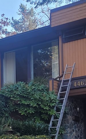 edge-soft-washing-victoria Moss cleaning soft wash services in Victoria by Edge Window Cleaning