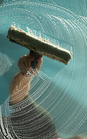 edge-window-cleaning Window Cleaning Services